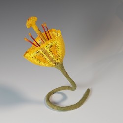 Yellow Trumpet Flower – Felted and Embroidered Botanical Sculpture