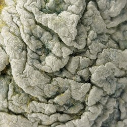 Textured Felt Vessel - reminiscent of Aladdin’s lamp