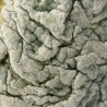 Textured Felt Vessel - reminiscent of Aladdin’s lamp
