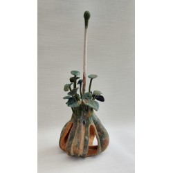 Wet‑felted gourd sculpture in merino wool, silk, and cotton. Decay, fungus, and new growth in fibre art