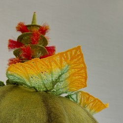 Cucurbita Citrina – Bottlebrush Gourd  - Fibre Sculpture
